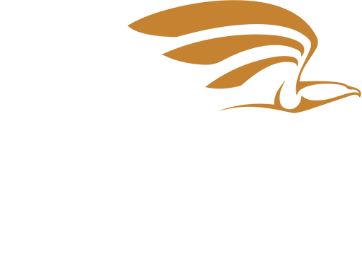 logo light